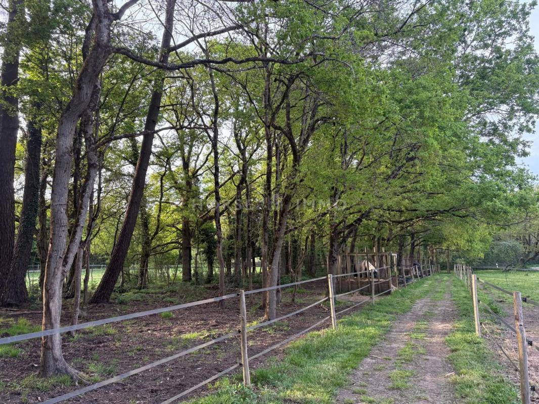 Propiedad ecuestre En venta Loira Atl&aacute;ntico