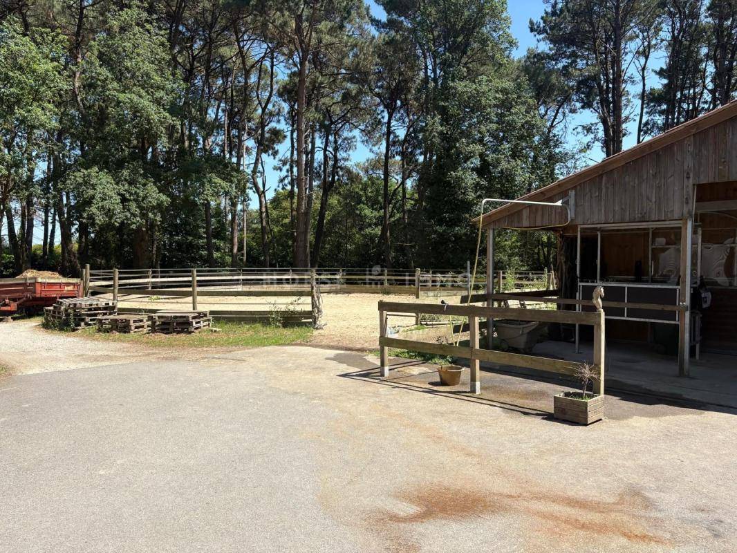 Propiedad ecuestre En venta Loira Atl&aacute;ntico