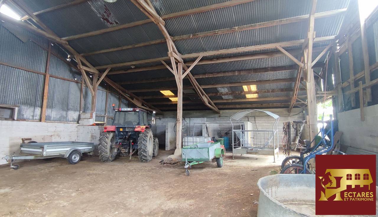 Cuadra de propietarios En venta Ain