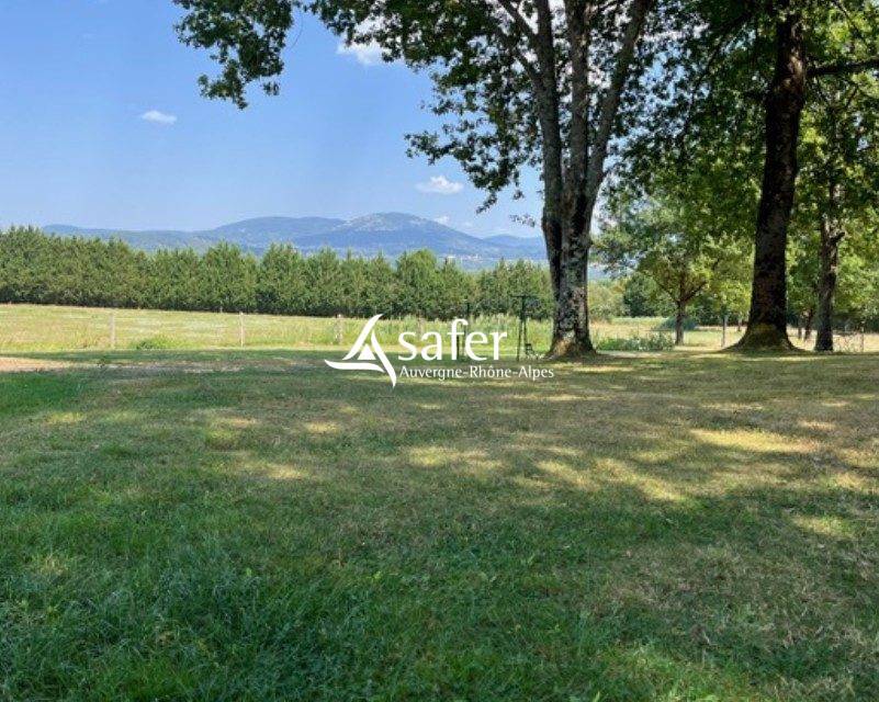 Propiedad ecuestre En venta Puy-de-D&ocirc;me