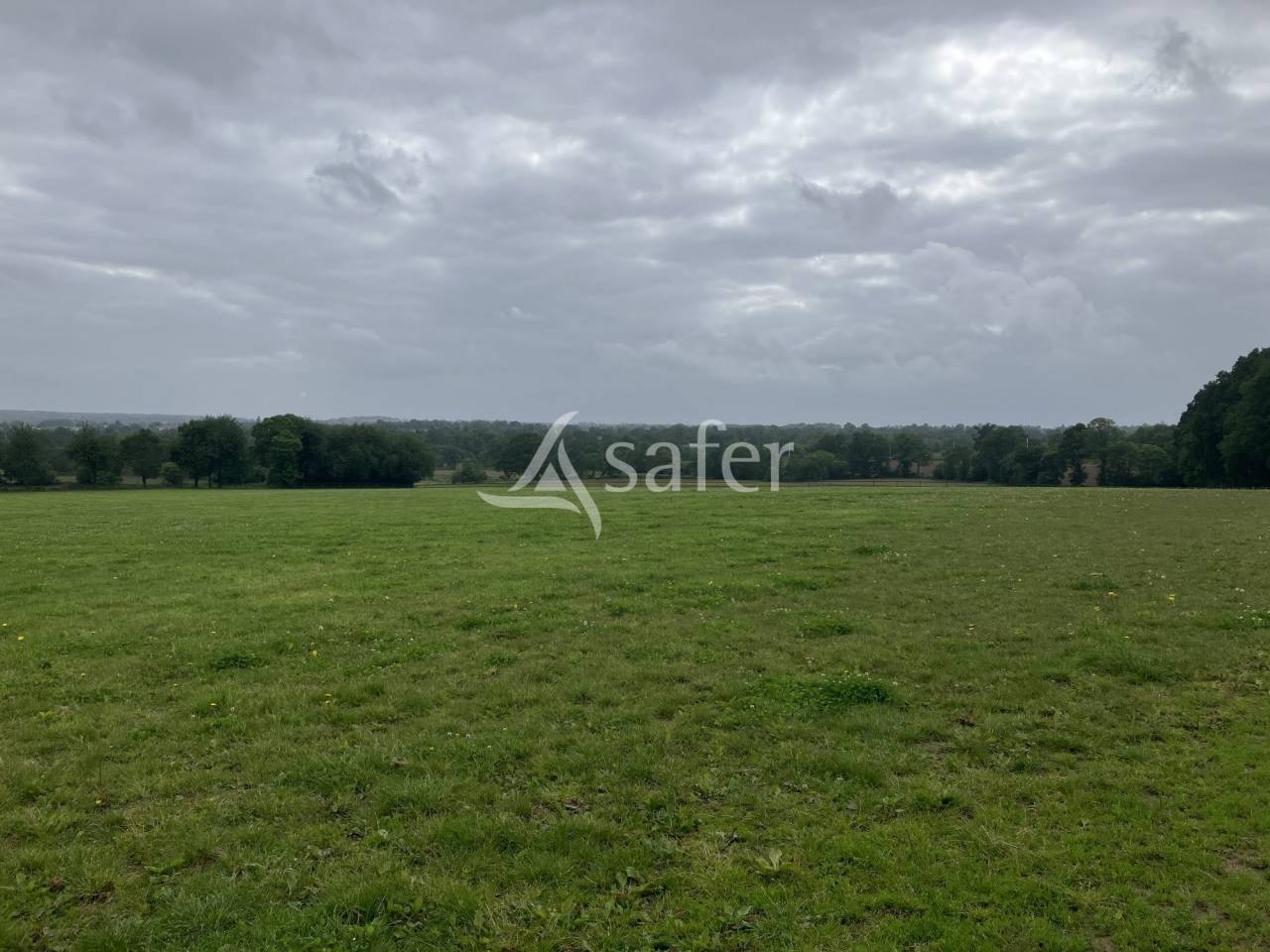 Propiedad ecuestre En venta Mayenne
