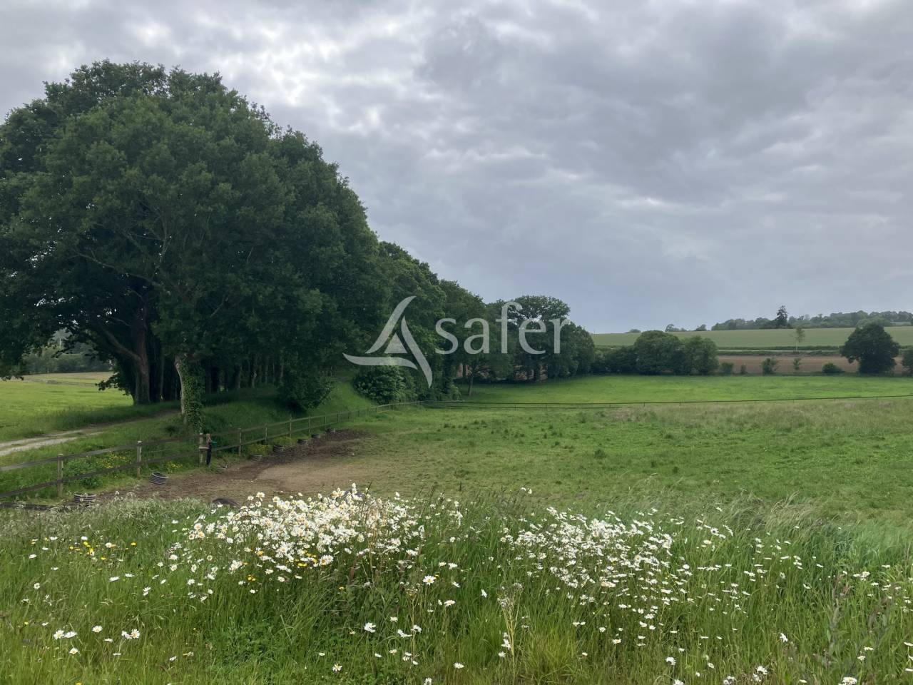 Propiedad ecuestre En venta Mayenne
