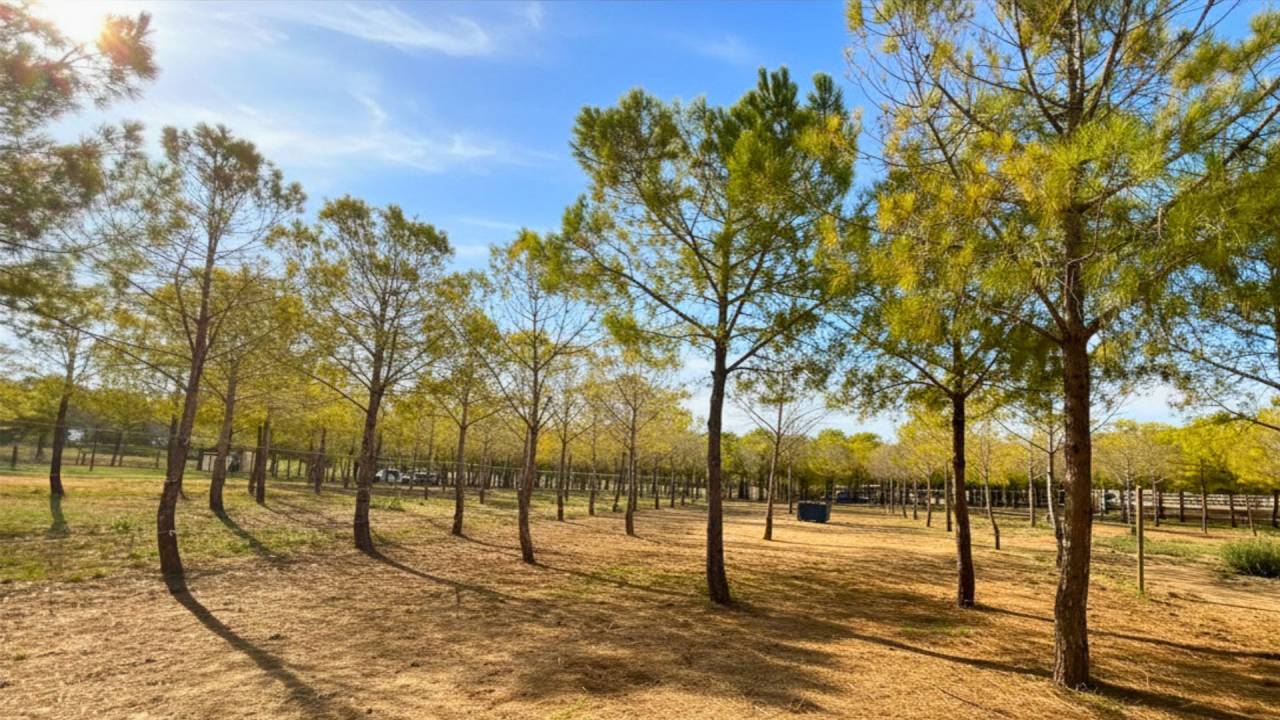 Propiedad ecuestre En venta H&eacute;rault