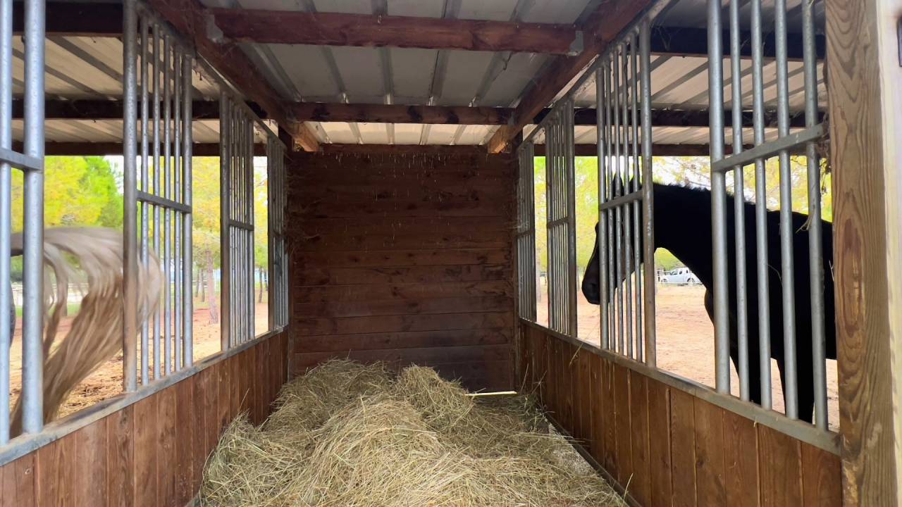 Propiedad ecuestre En venta H&eacute;rault