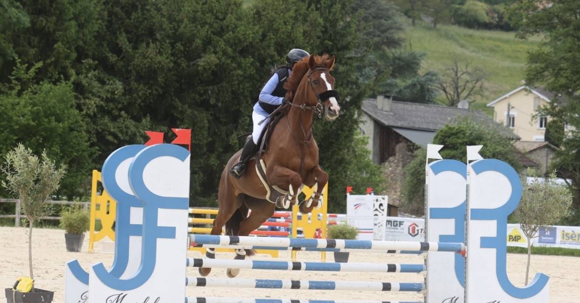 Yegua KWPN Caballo de Deporte Neerland&eacute;s En venta 2018 Alaz&aacute;n tostado por UNTOUCHABLE