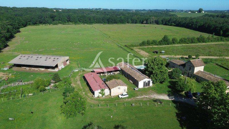 Explotaci&oacute;n agr&iacute;cola En venta Gironda