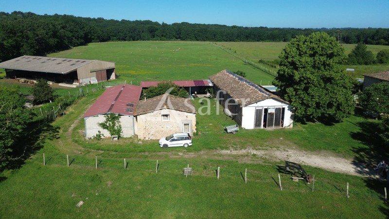 Explotaci&oacute;n agr&iacute;cola En venta Gironda