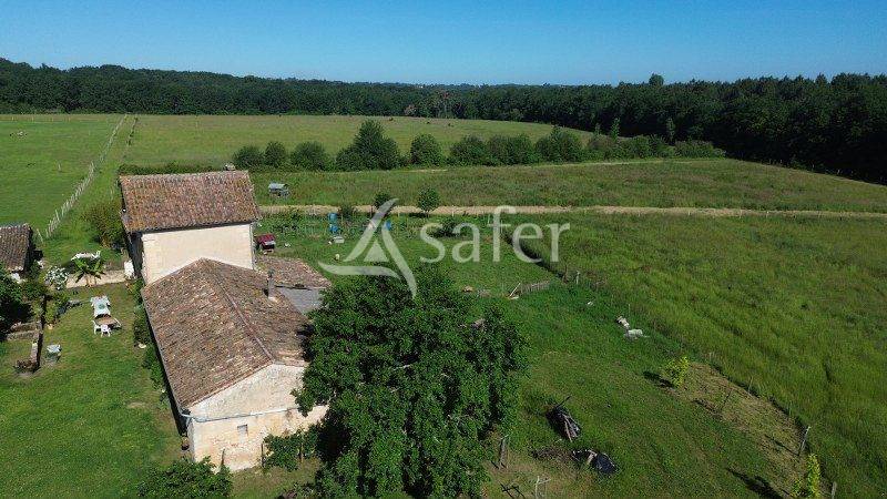 Explotaci&oacute;n agr&iacute;cola En venta Gironda