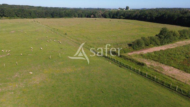 Explotaci&oacute;n agr&iacute;cola En venta Gironda