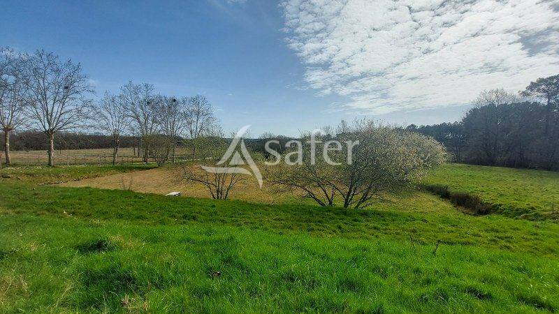 Explotaci&oacute;n agr&iacute;cola En venta Gironda
