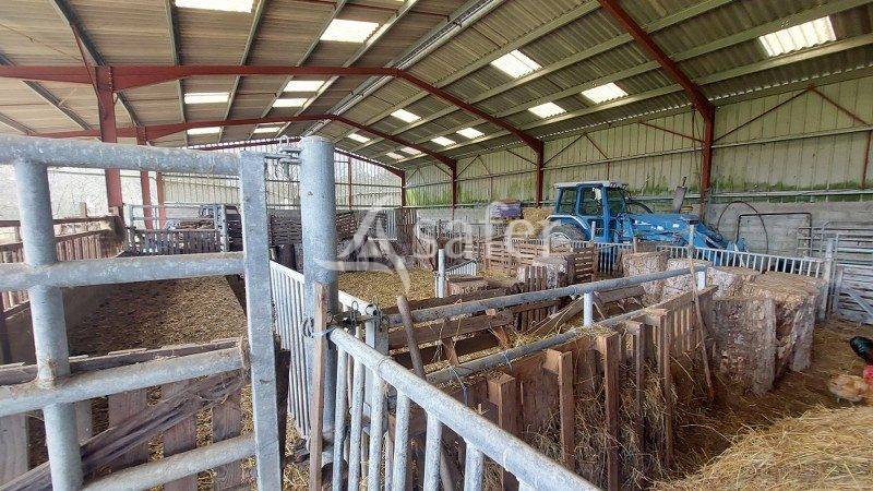Explotaci&oacute;n agr&iacute;cola En venta Gironda