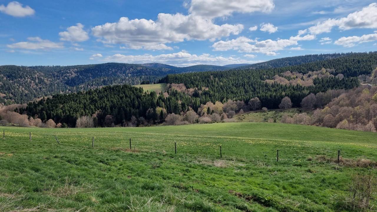 Albergue ecuestre En venta Ard&egrave;che