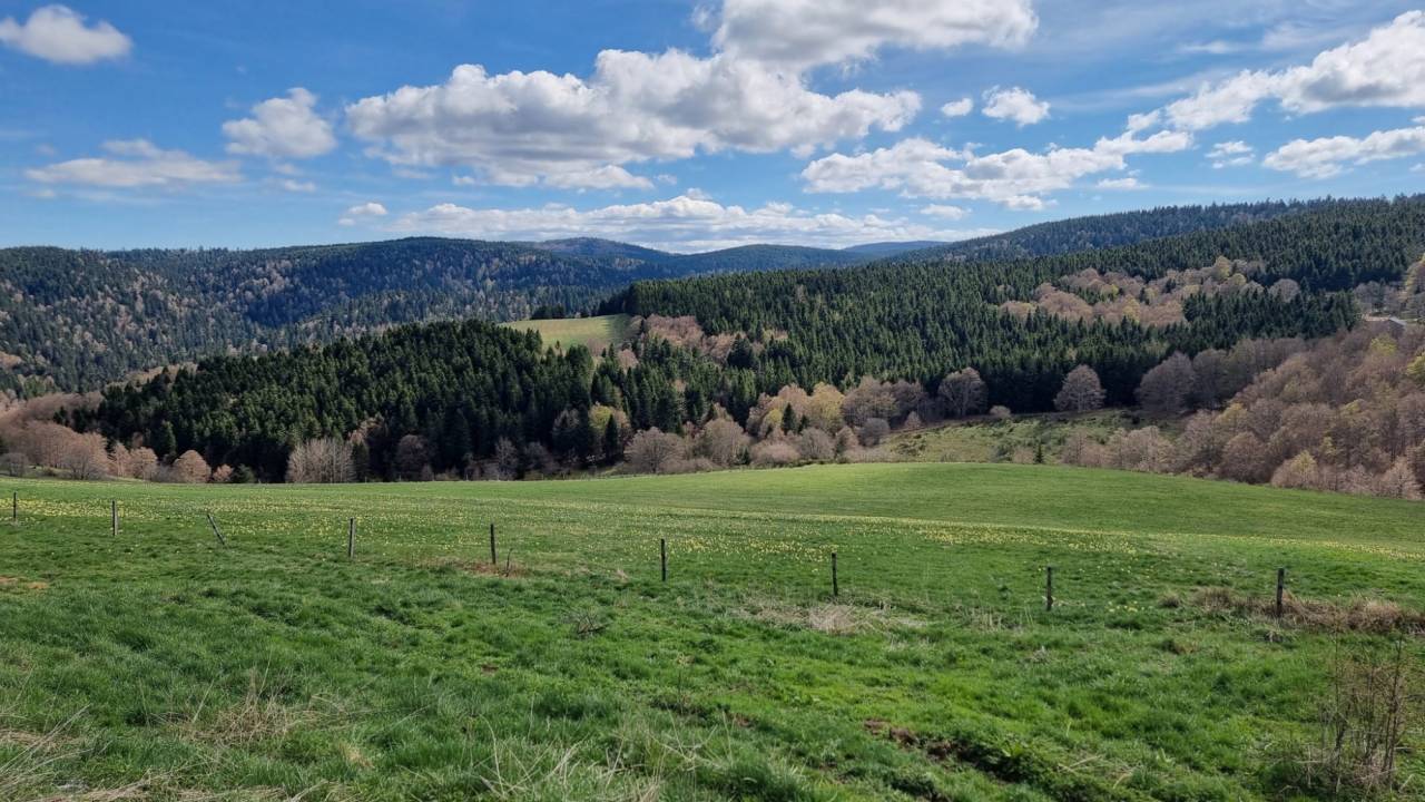 Albergue ecuestre En venta Ard&egrave;che