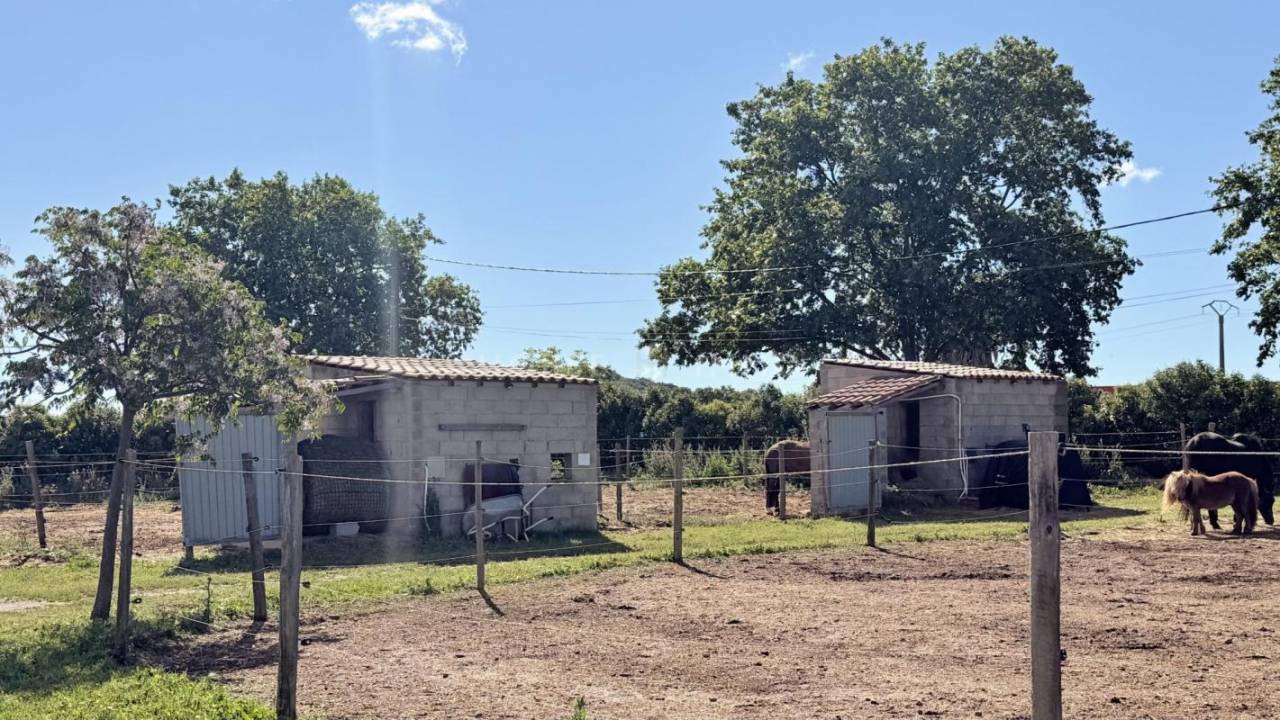 Propiedad ecuestre En venta H&eacute;rault