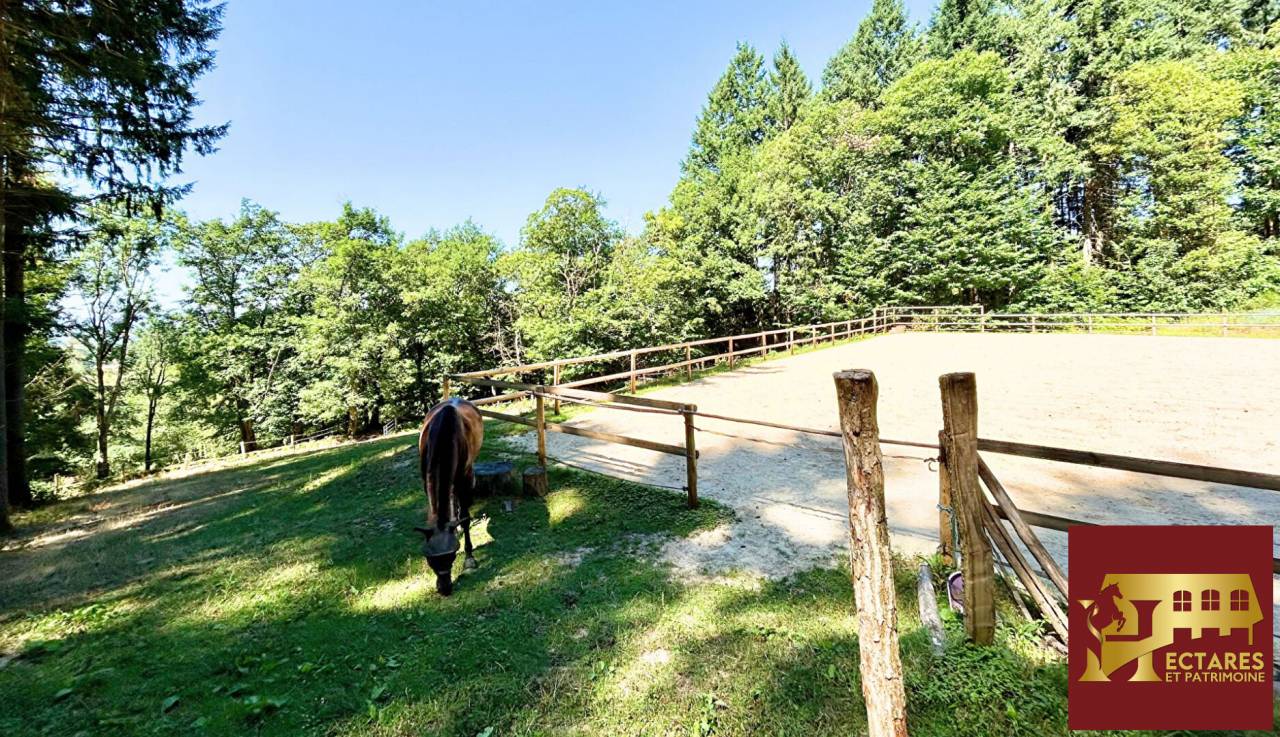 Albergue ecuestre En venta Saona y Loira