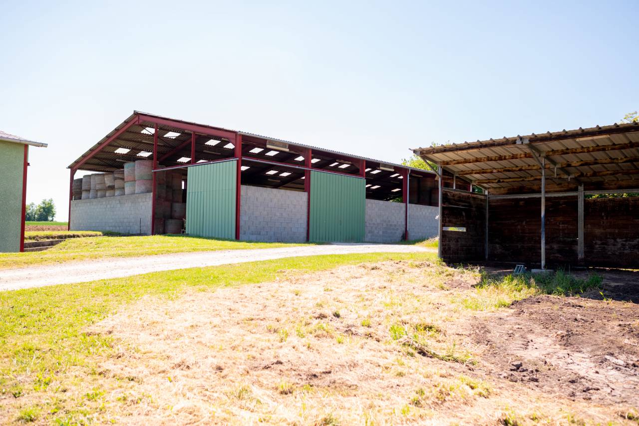 Propiedad ecuestre En venta Ain