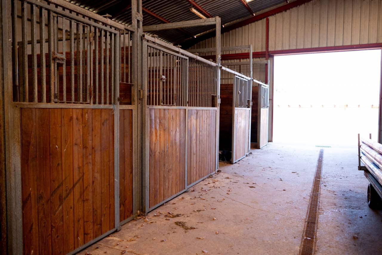 Propiedad ecuestre En venta Ain