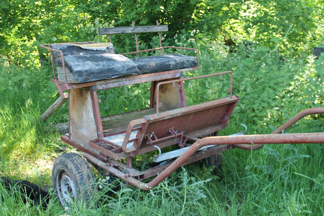 Coche enganches - Coche de caballos utilitario - Otra marca - Utilitaire 