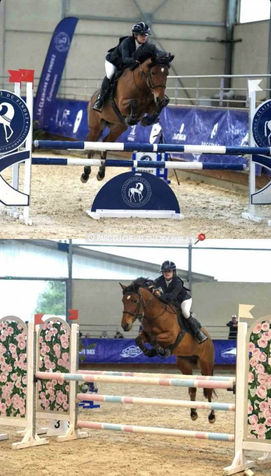 Yegua PFS Poni Fran&ccedil;&eacute;s de Silla Pr&eacute;stamo 2013 Bayo