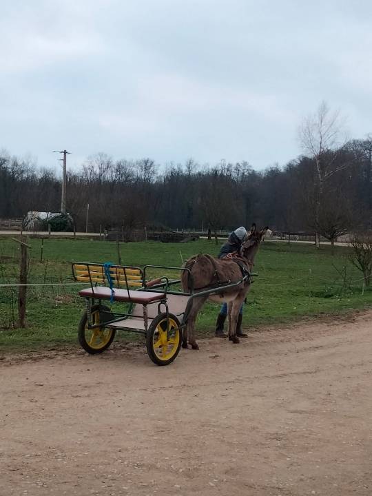 Coche enganches - Sulky poni - Otra marca -  
