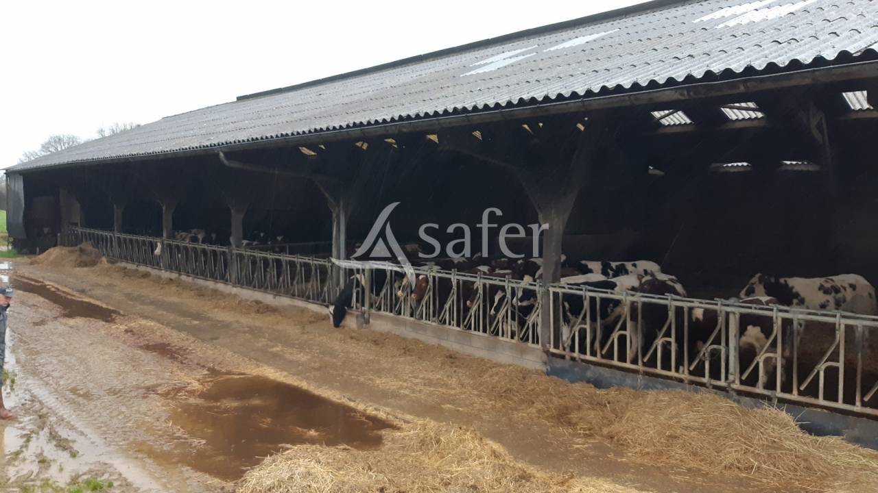 Explotaci&oacute;n lechera En venta Mayenne