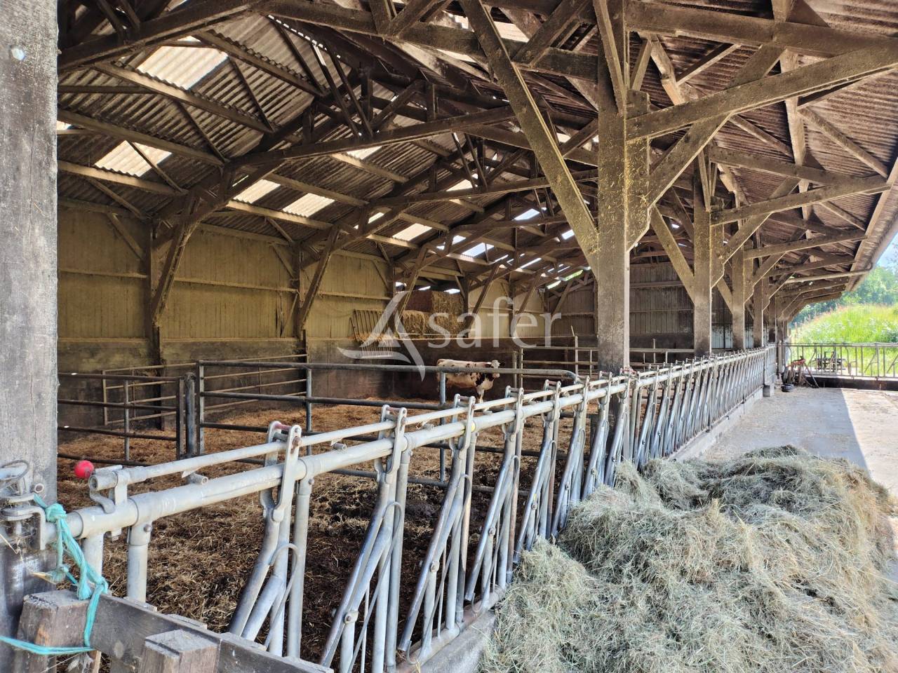 Explotaci&oacute;n lechera En venta Mayenne