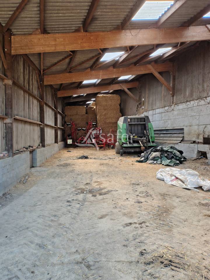 Explotaci&oacute;n lechera En venta Mayenne