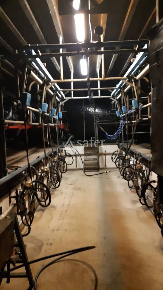 Explotaci&oacute;n lechera En venta Mayenne