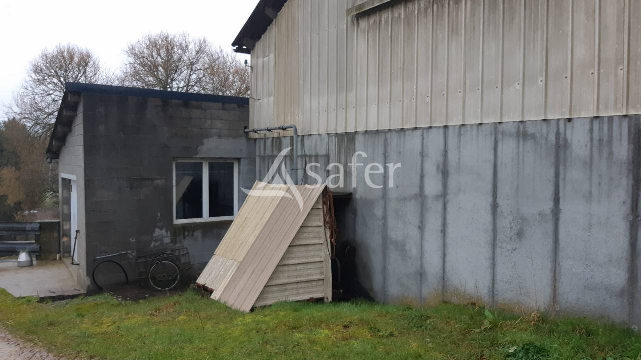 Explotaci&oacute;n lechera En venta Mayenne