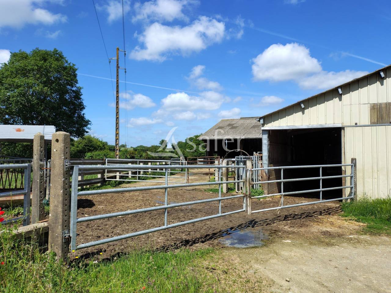 Explotaci&oacute;n lechera En venta Mayenne