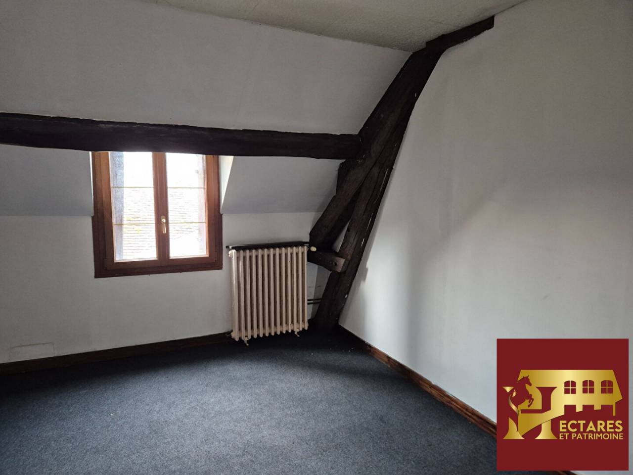 Propiedad ecuestre En venta Yonne