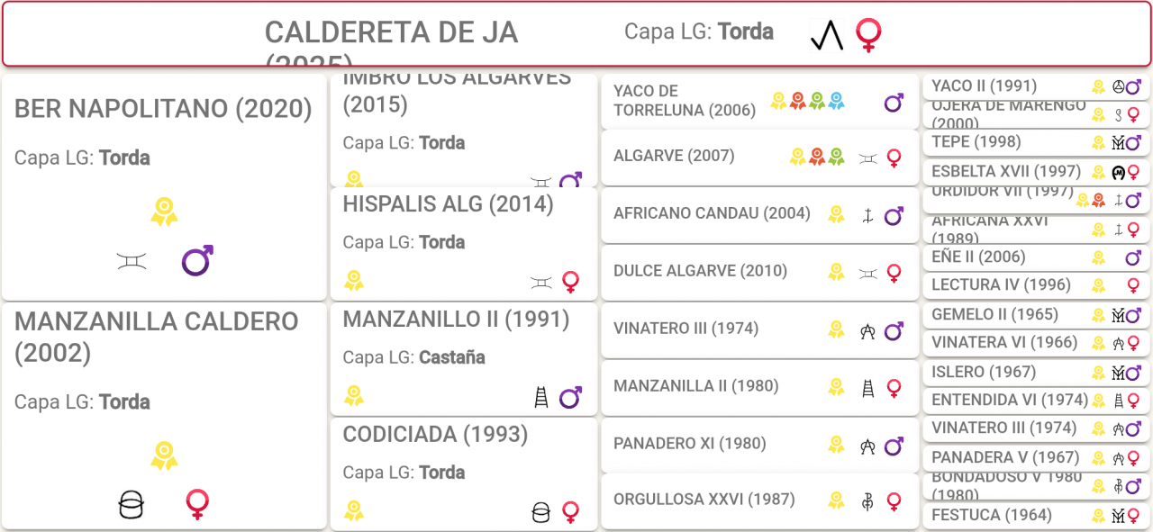 Potra PRE 1,5 a&ntilde;os 
