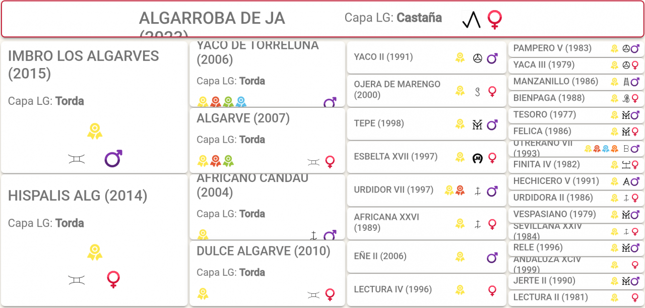 Potra PRE Casta&ntilde;a 3 a&ntilde;os 