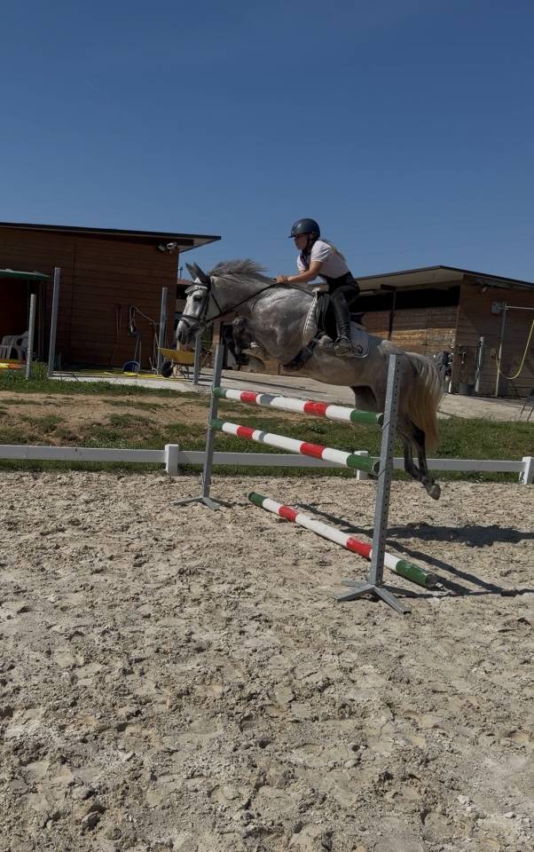 Pony D