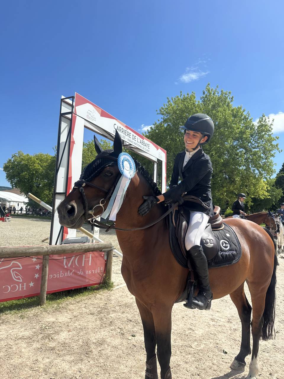 Caballo castrado Poni de Silla Belga En venta 2016 Bayo