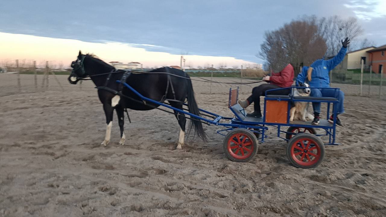 Coche enganches - Coche de alquiler - Otra marca -  