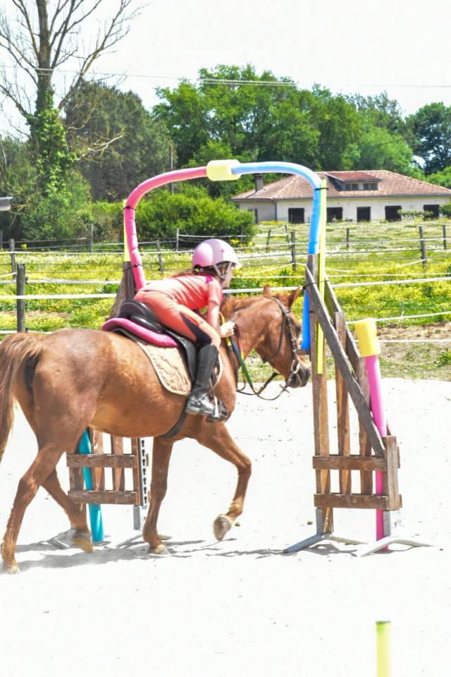 Monitor de equitaci&oacute;n - No asalariado Medio tiempo - Alto Garona Francia