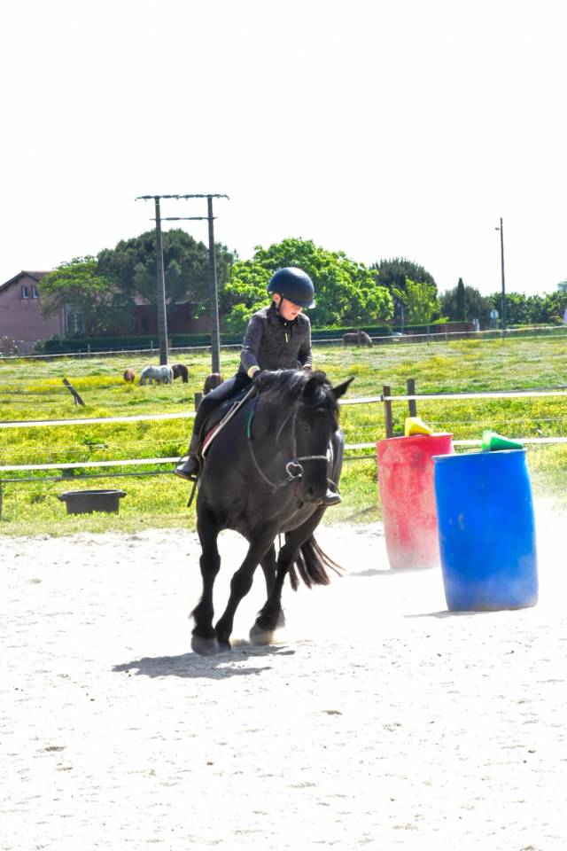 Monitor de equitaci&oacute;n - No asalariado Medio tiempo - Alto Garona Francia