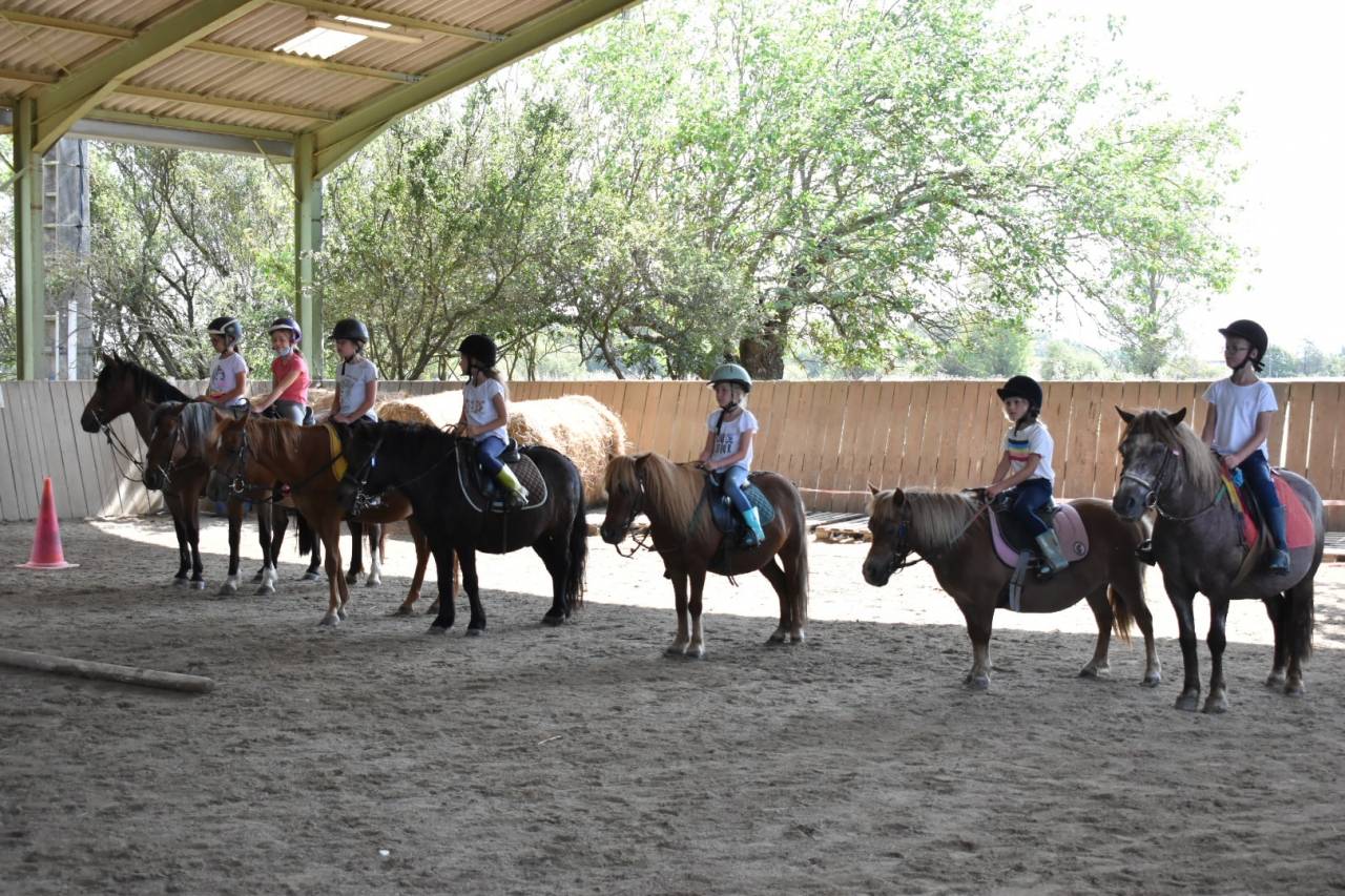 Monitor de equitaci&oacute;n - No asalariado Medio tiempo - Alto Garona Francia