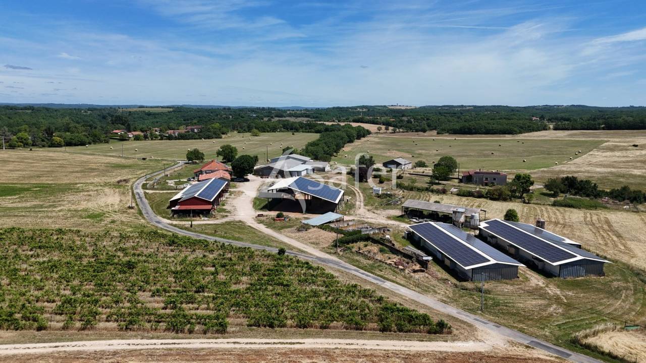 Explotaci&oacute;n ovina En venta Lot