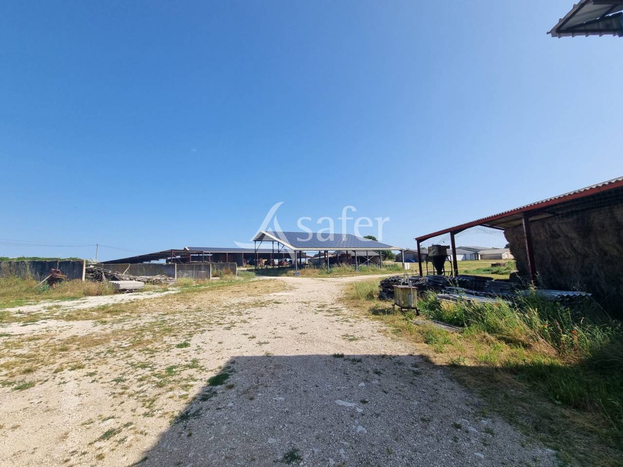 Explotaci&oacute;n ovina En venta Lot