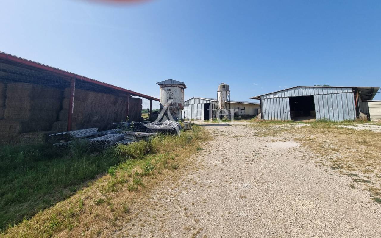 Explotaci&oacute;n ovina En venta Lot