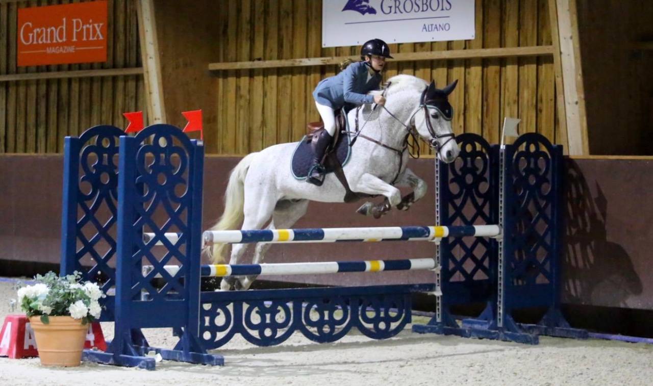 Caballo castrado Connemara En venta 2011 Tordo