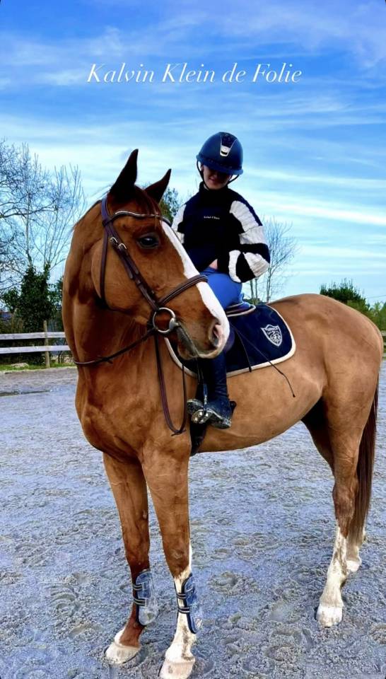 Caballo castrado Silla Franc&eacute;s En venta 2020 Alaz&aacute;n