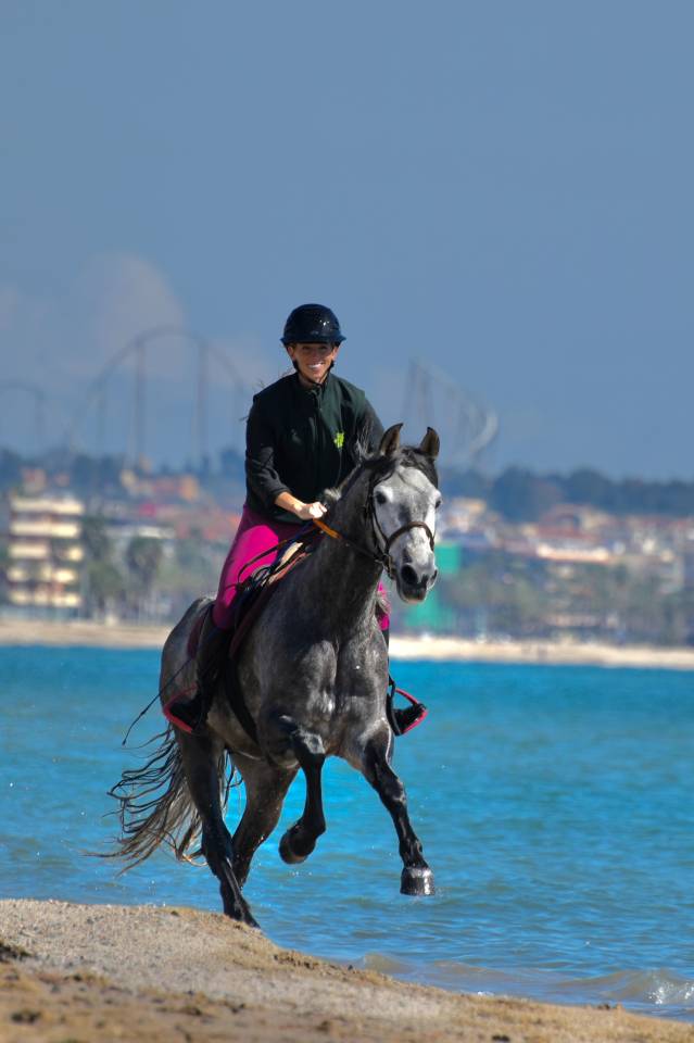 Caballo castrado PRE Pura Raza Espa&ntilde;ola En venta 2020 Tordo