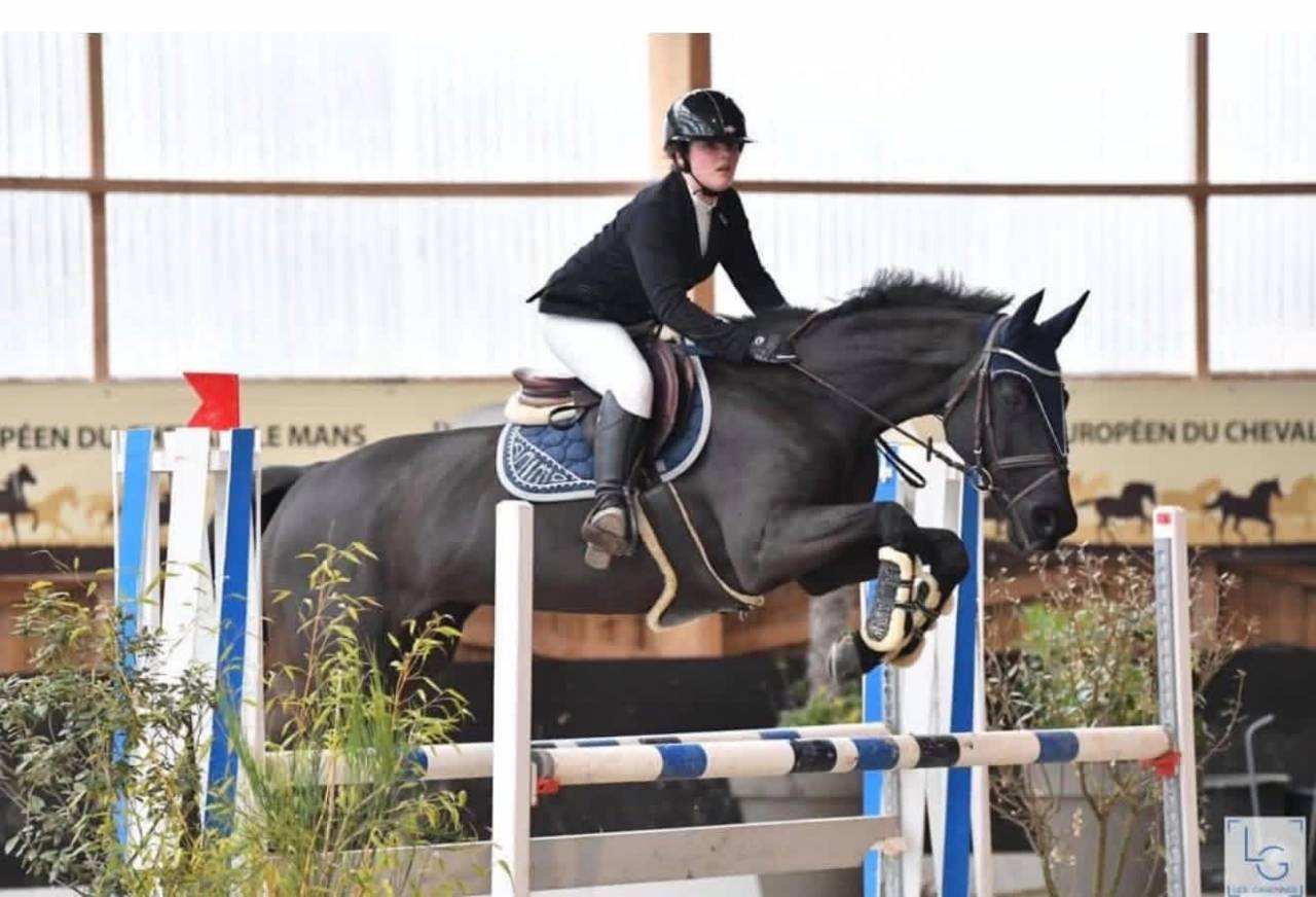 Yegua de ganader&iacute;a Silla Franc&eacute;s En venta 2005 Negro por KIRIEL DU BANCO