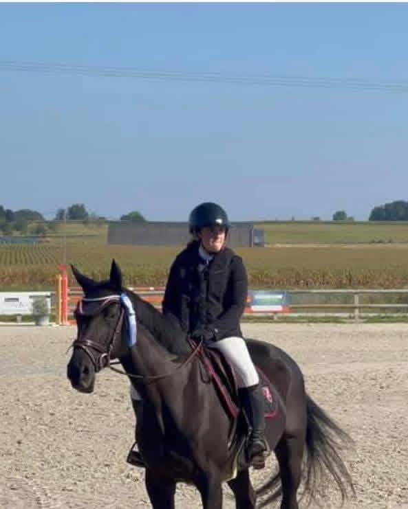Yegua de ganader&iacute;a Silla Franc&eacute;s En venta 2005 Negro por KIRIEL DU BANCO