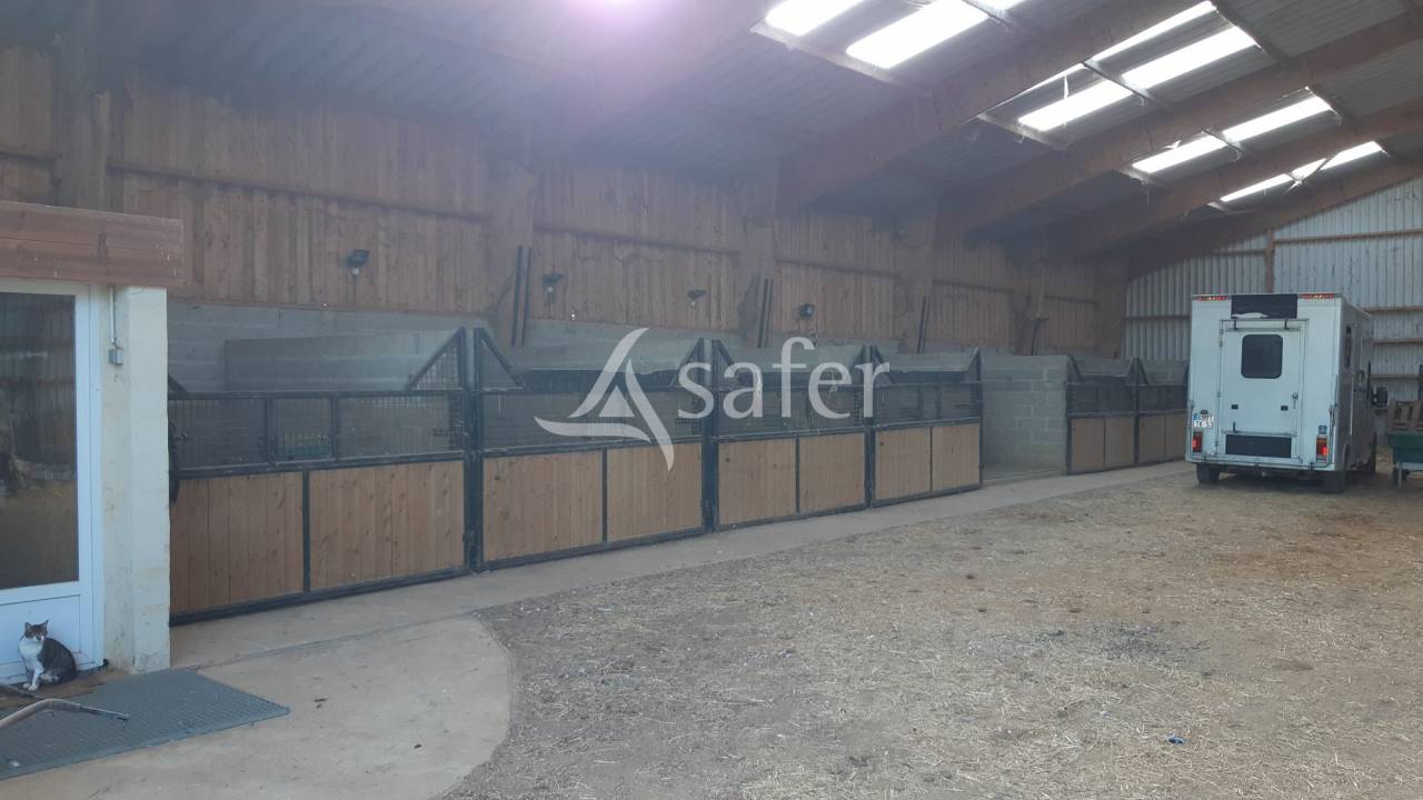 Propiedad ecuestre En venta Mayenne