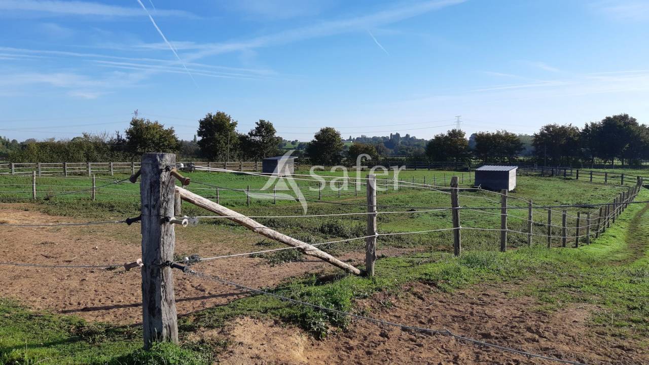 Propiedad ecuestre En venta Mayenne