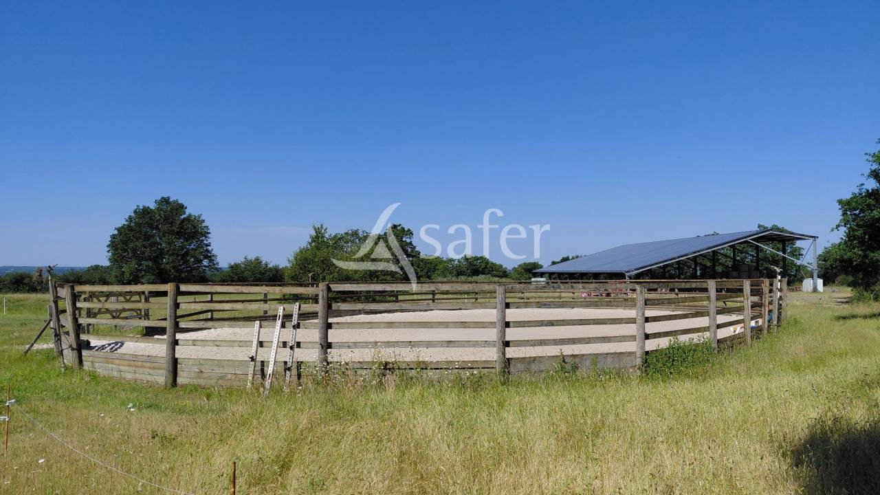 Propiedad ecuestre En venta Deux-S&egrave;vres